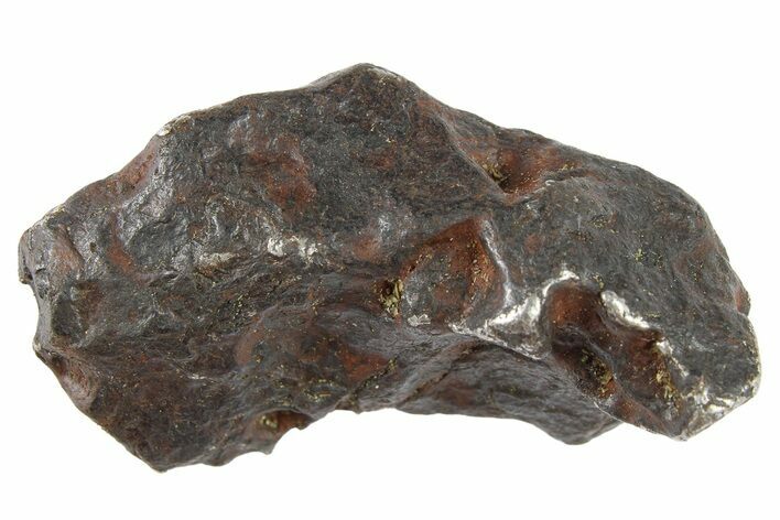 Canyon Diablo Iron Meteorite ( g) - Arizona #262843